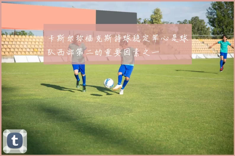 卡斯尔称福克斯持球稳定军心是球队西部第二的重要因素之一