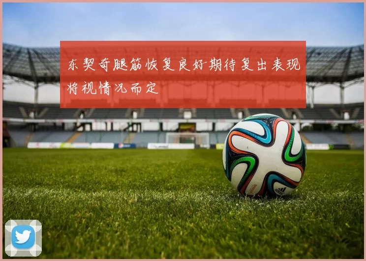 东契奇腿筋恢复良好期待复出表现将视情况而定